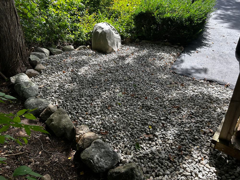 Gravel landscape area with rocks and greenery, shaded by trees in a residential setting.