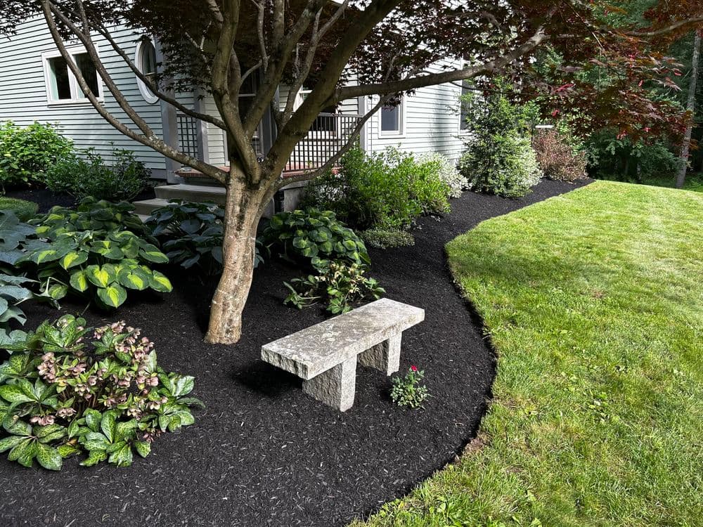 Stone bench under tree in well-maintained garden with mulch and vibrant plants.