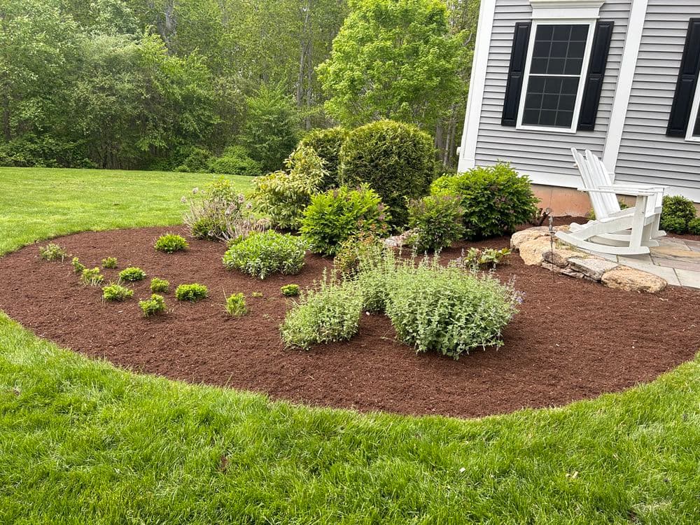 Lush garden bed with various plants, mulch, and an outdoor chair beside a house.