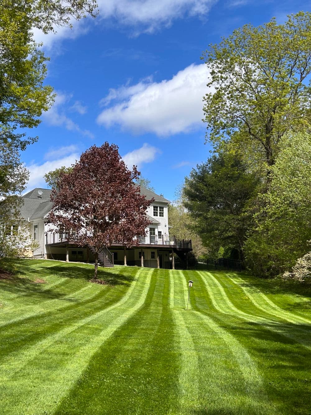 Lush green lawn with striped patterns and a house surrounded by trees under a blue sky.