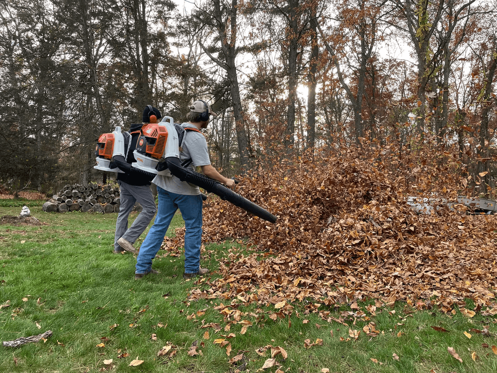 Two people using leaf blowers to clear a yard covered in autumn leaves.